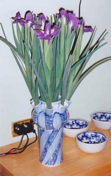 Hyacinth Case